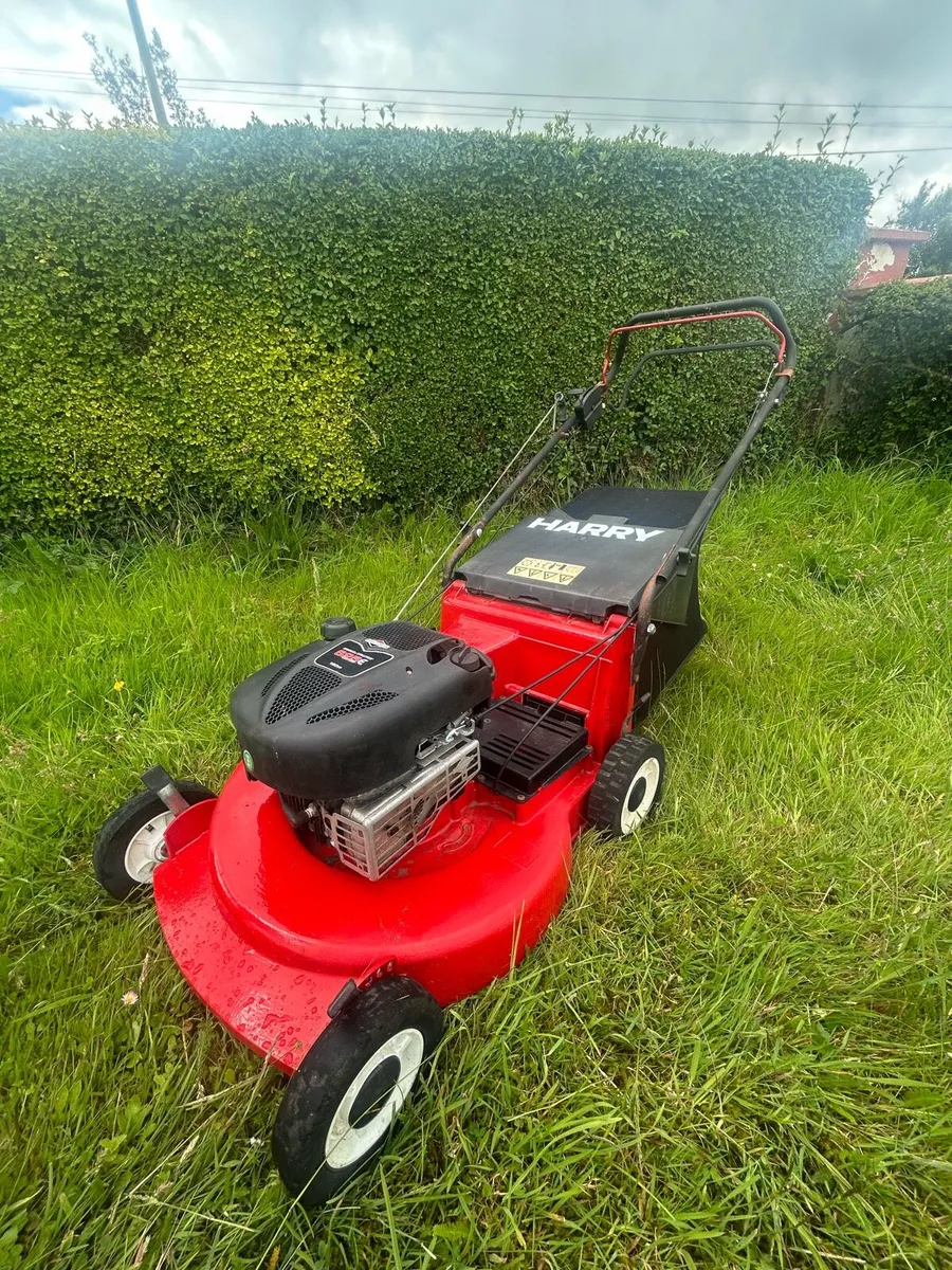 Lawnmower - Image 1