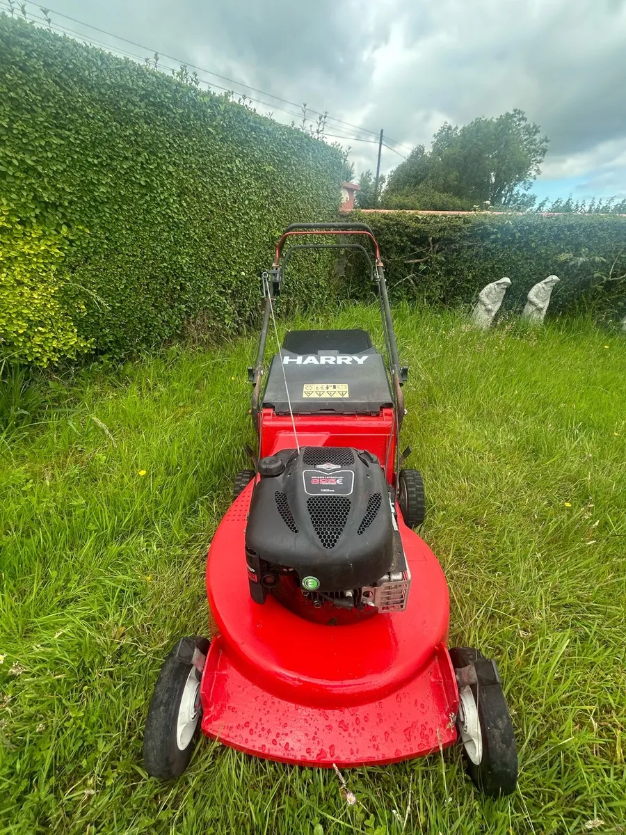 Lawnmower - Image 3