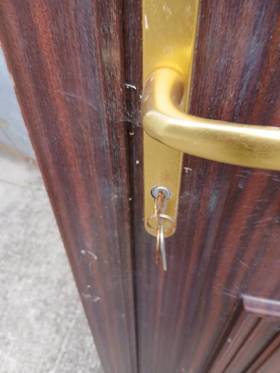 Pvc door - Image 1