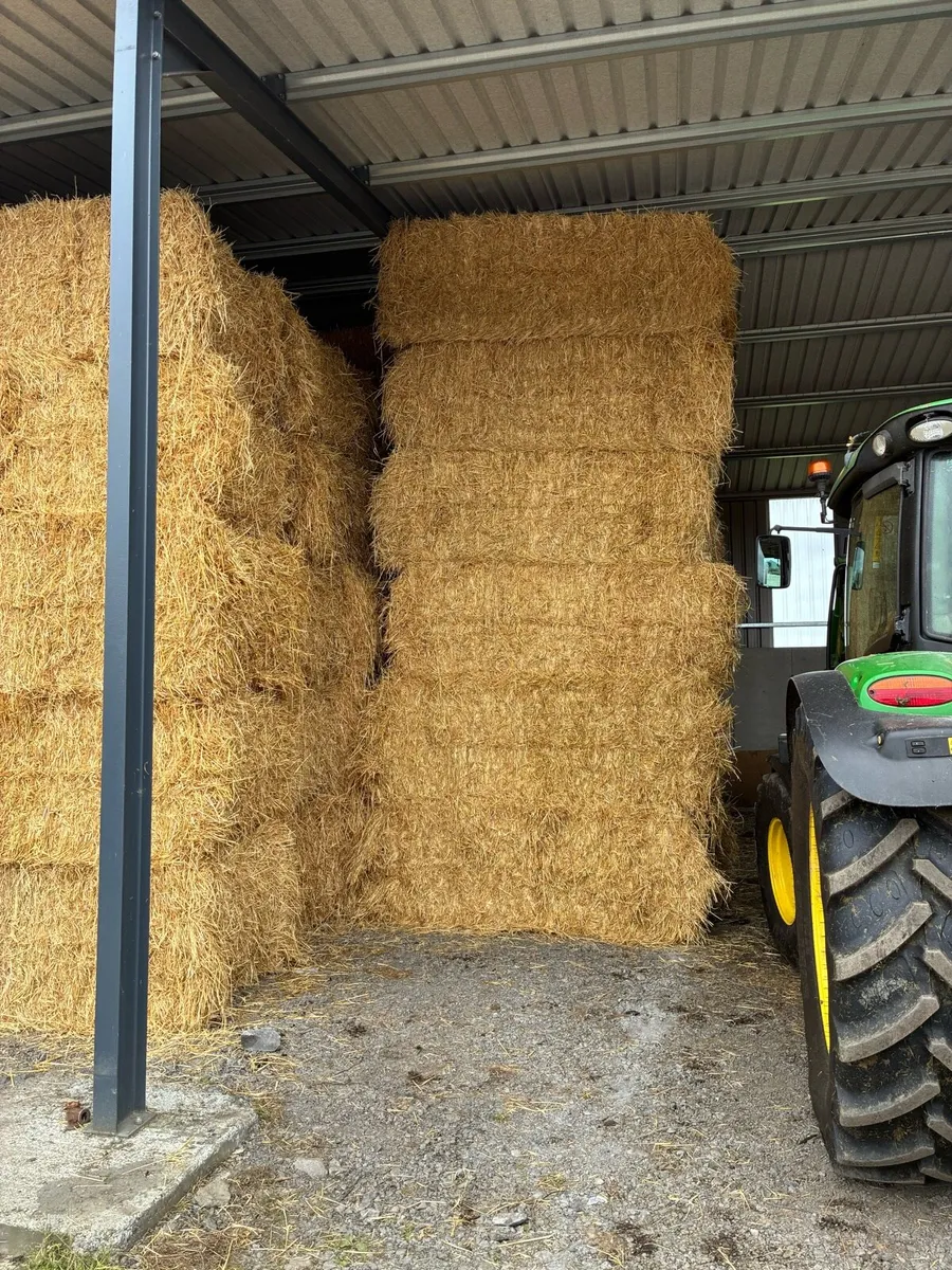 Barley straw - Image 2