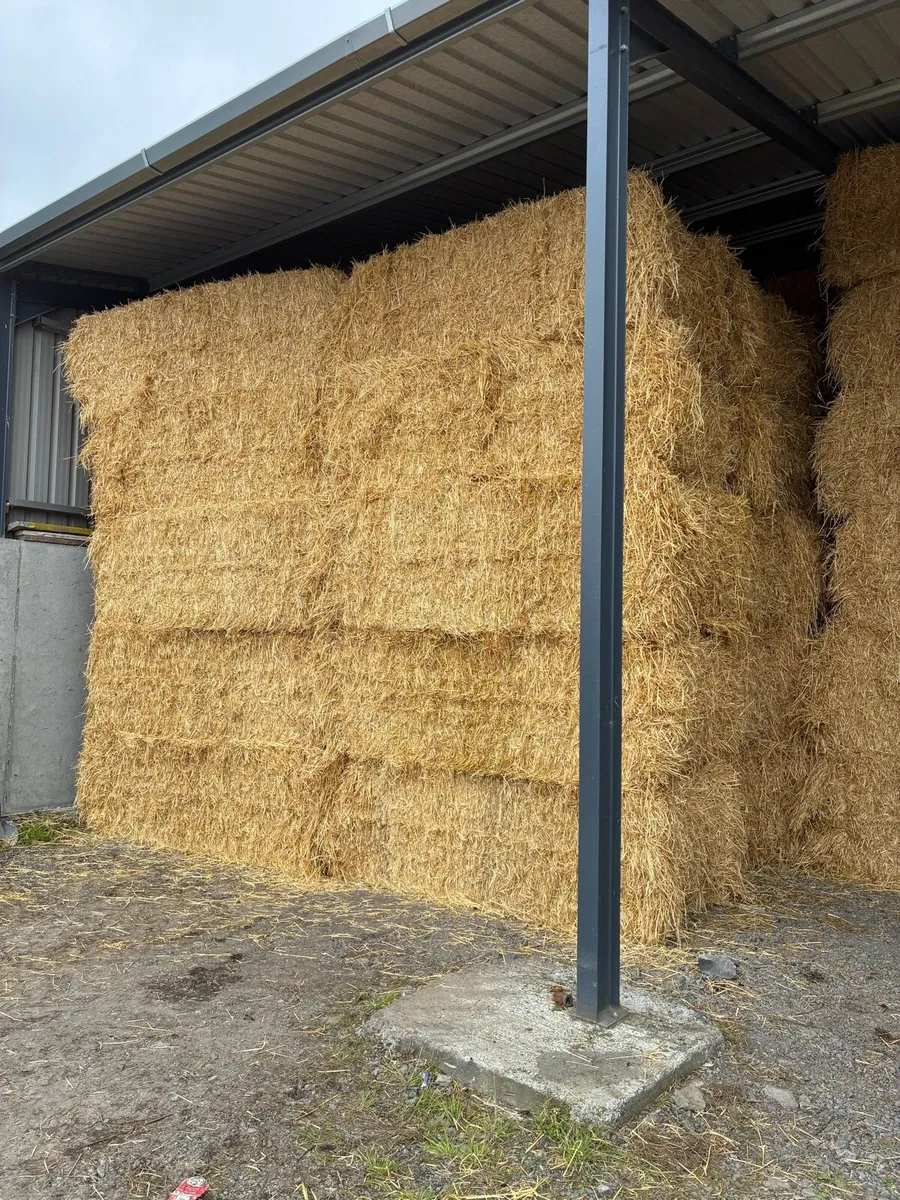Barley straw - Image 3