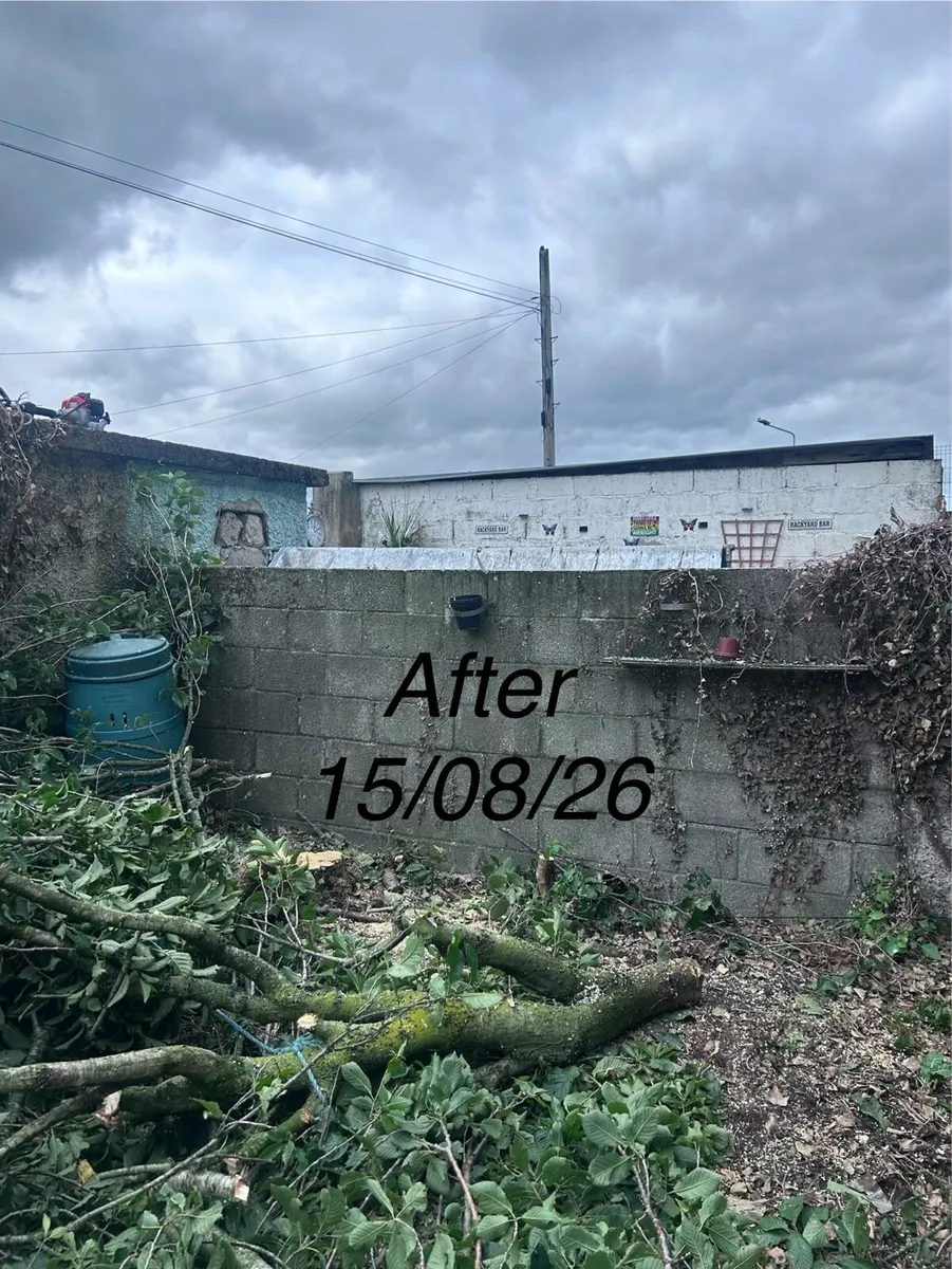 Garden Maintenance and Tree Care - Image 3