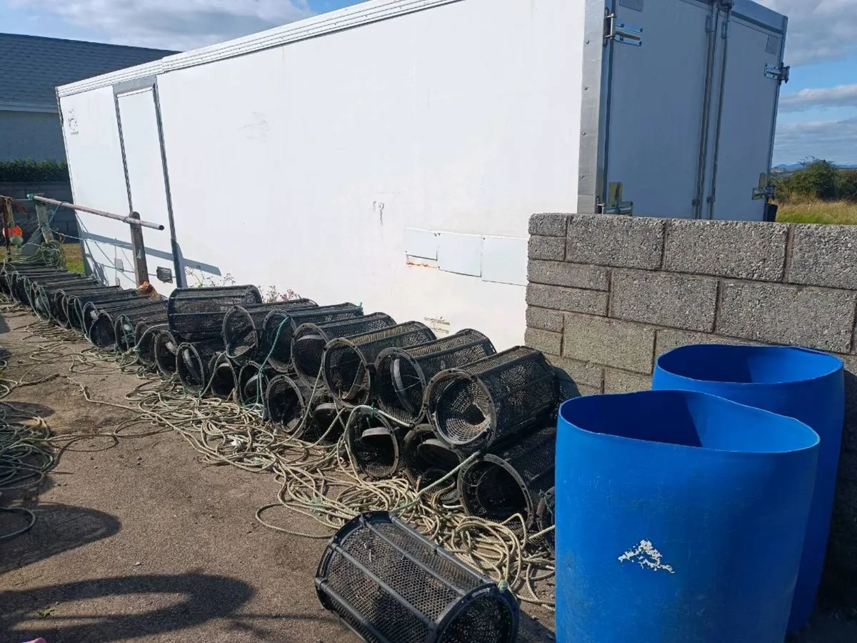 Shrimp pots - Image 2