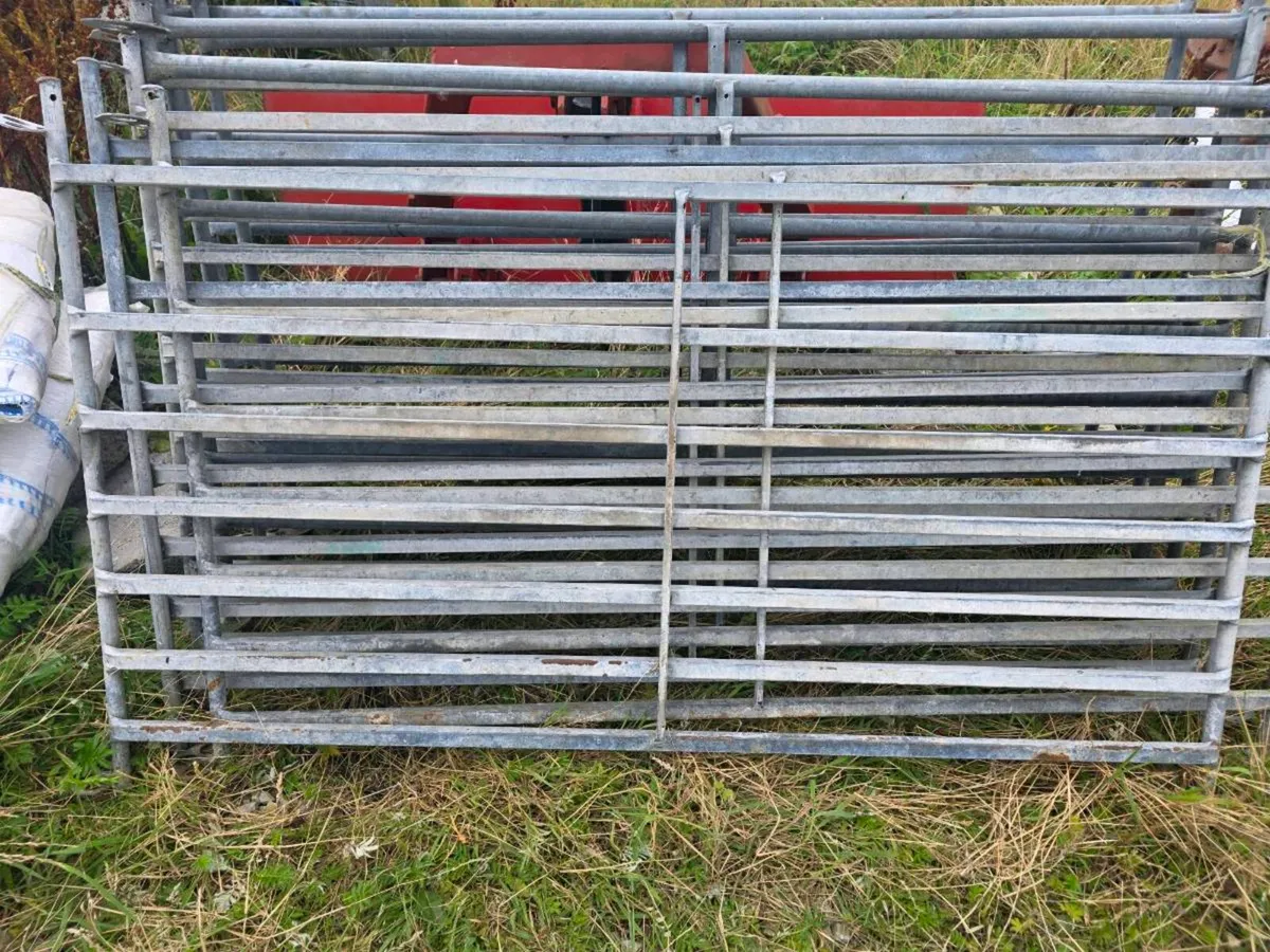 Sheep Hurdles - Image 4