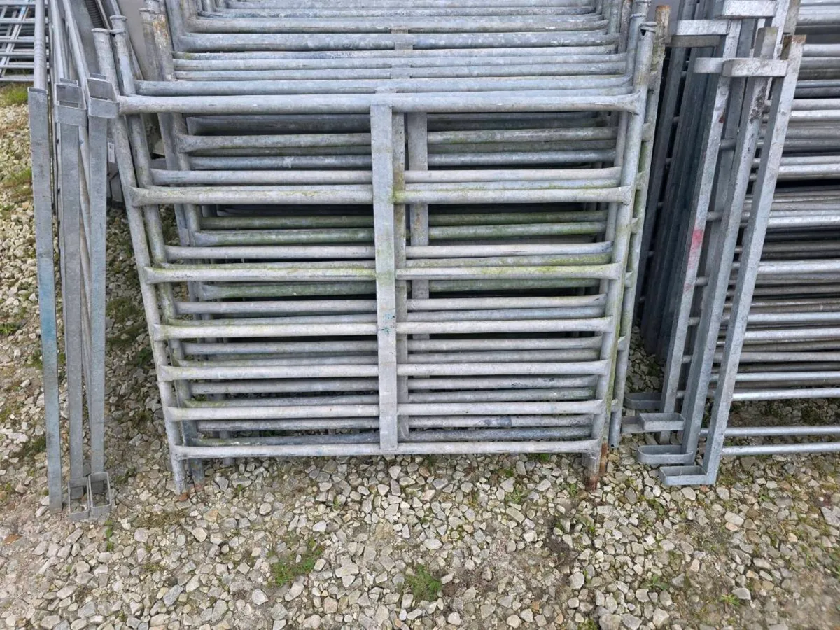 Sheep Hurdles - Image 4