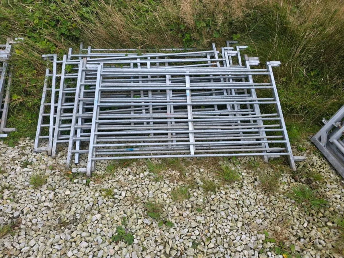 Sheep Hurdles - Image 3