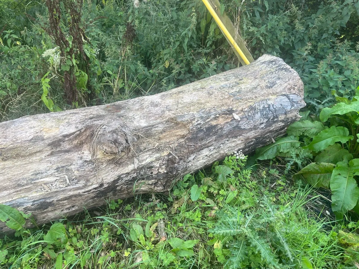 Oak beams and lengths of oak for sale - Image 3
