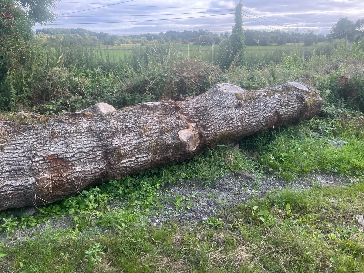 Oak beams and lengths of oak for sale - Image 4