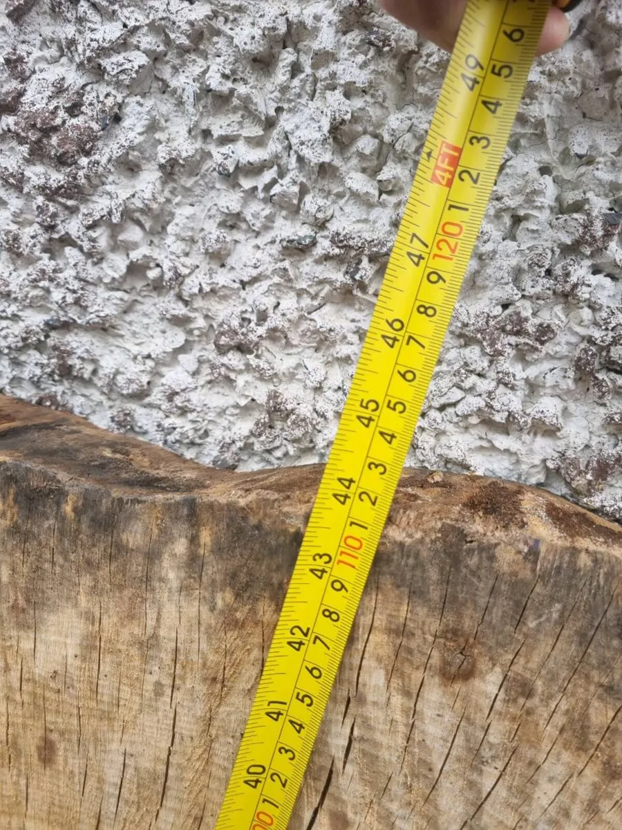 Live round wood slabs - Image 3