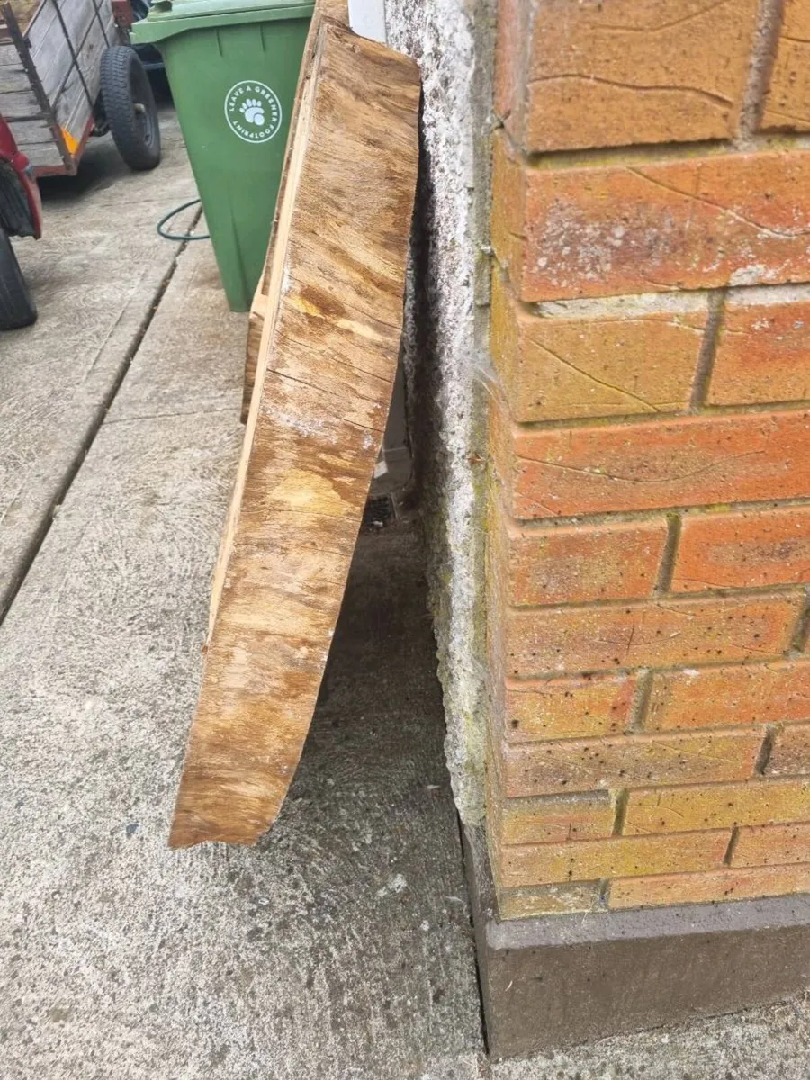 Live round wood slabs - Image 4