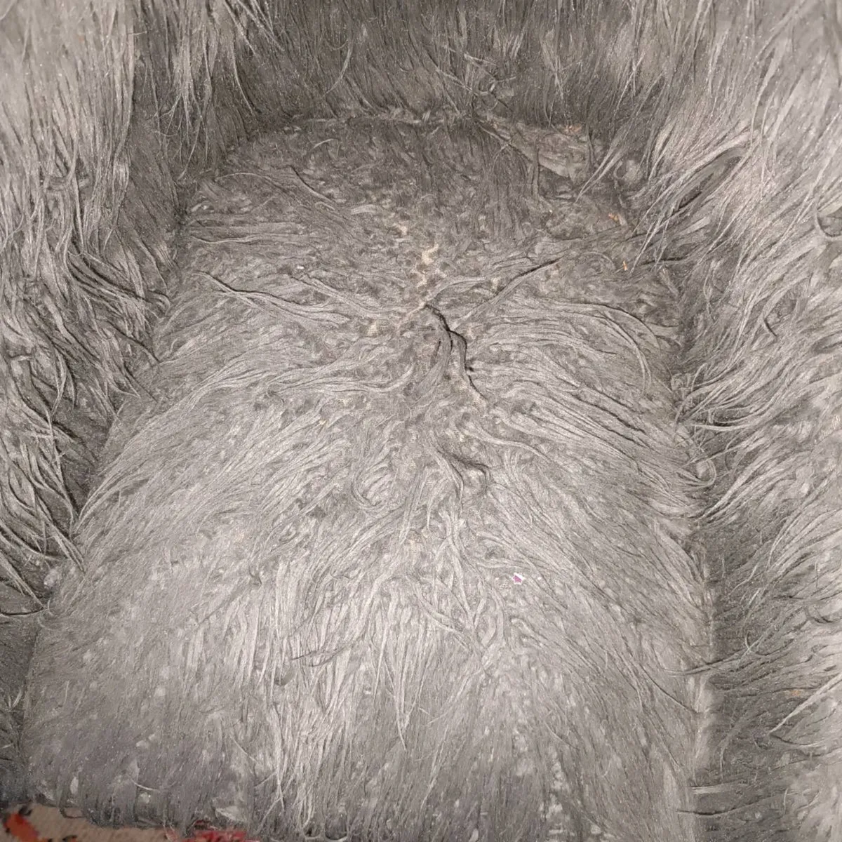 Chair - Image 2