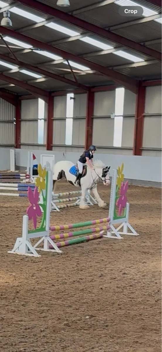 Cob pony - Image 4