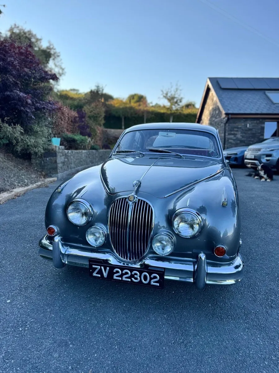 Jaguar MK2 1961 2.4l - Image 3