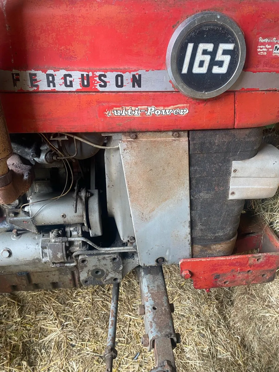 Mf 165 - Image 2