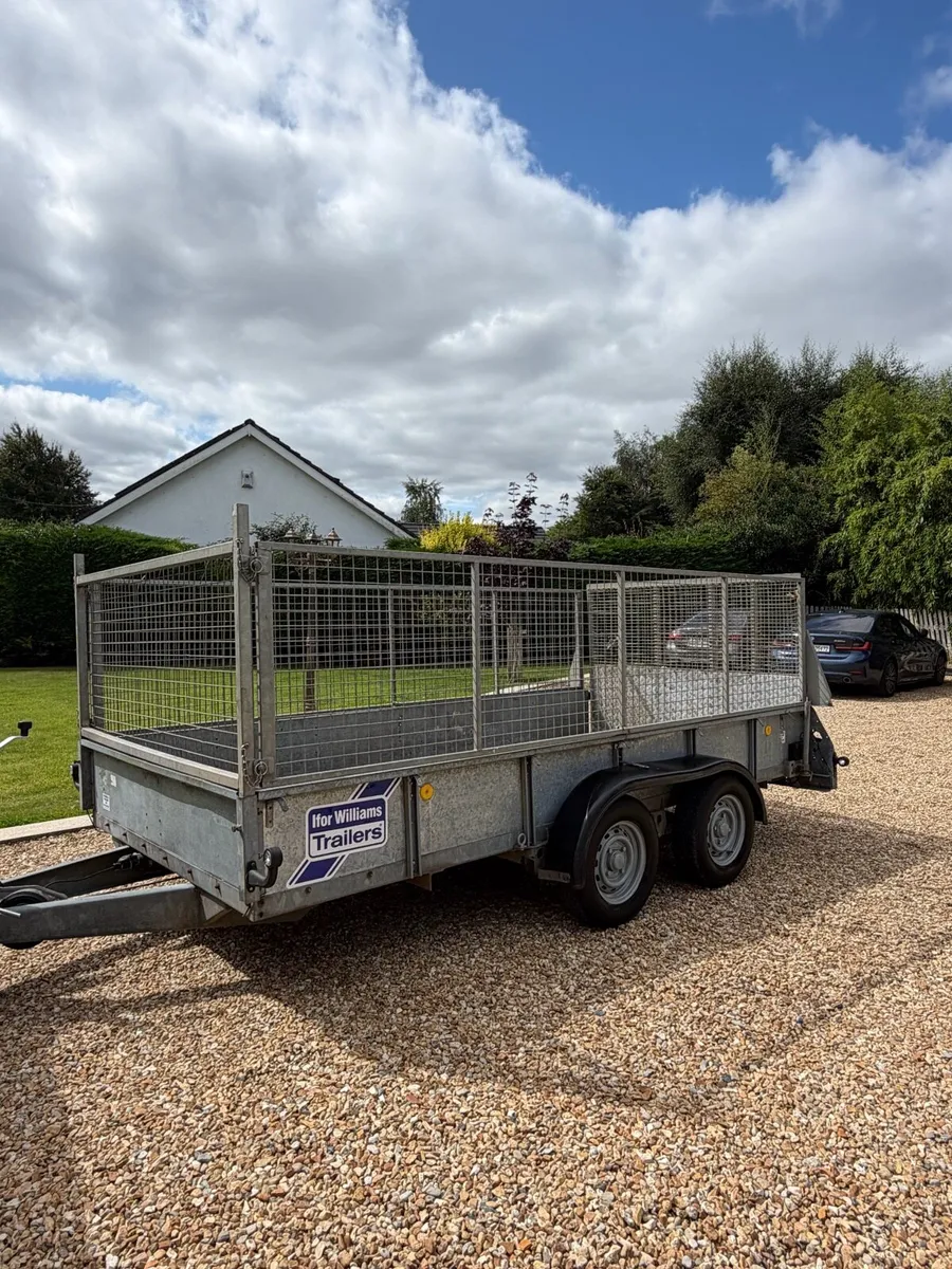 Ifor Williams 12x6 Plant Trailer C/W high mesh - Image 2