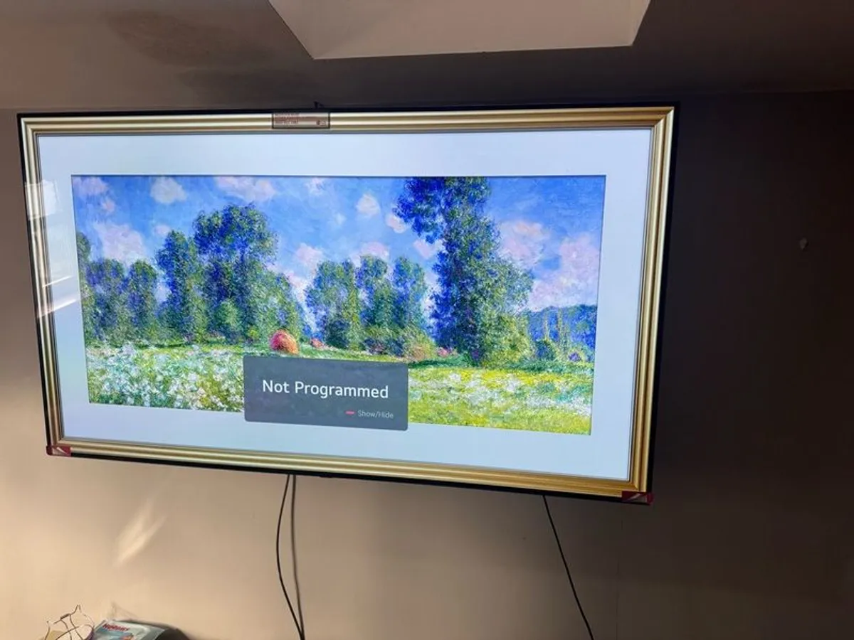 Smart Tv Lg 65 Inch Oled - Image 3