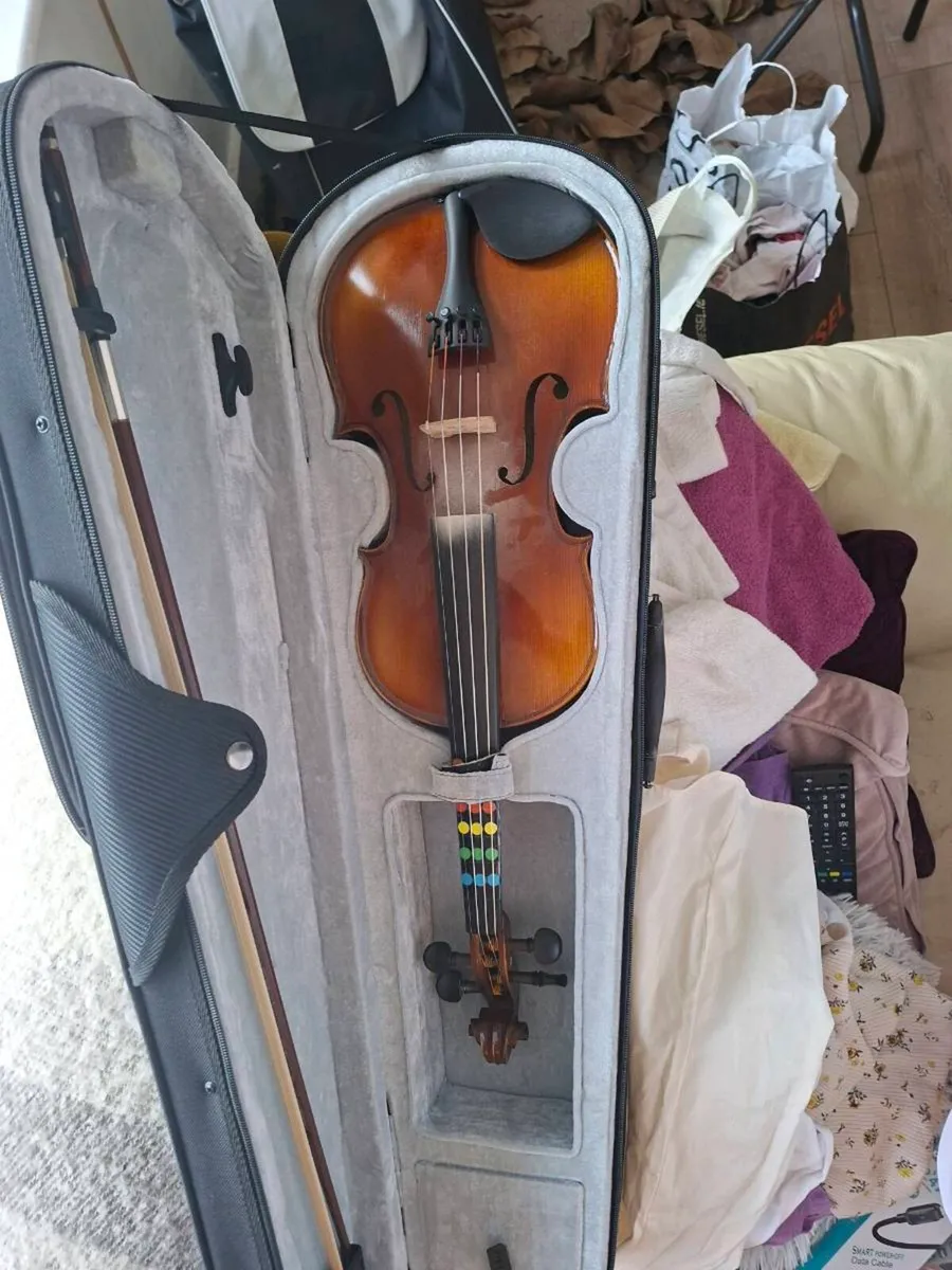 Violin/fiddle - Image 1
