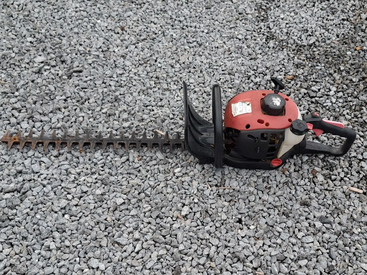 Petrol Hedge Strimmers - Image 2