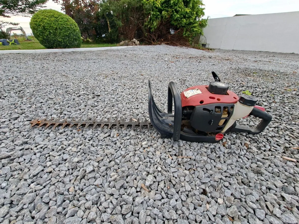 Petrol Hedge Strimmers - Image 1