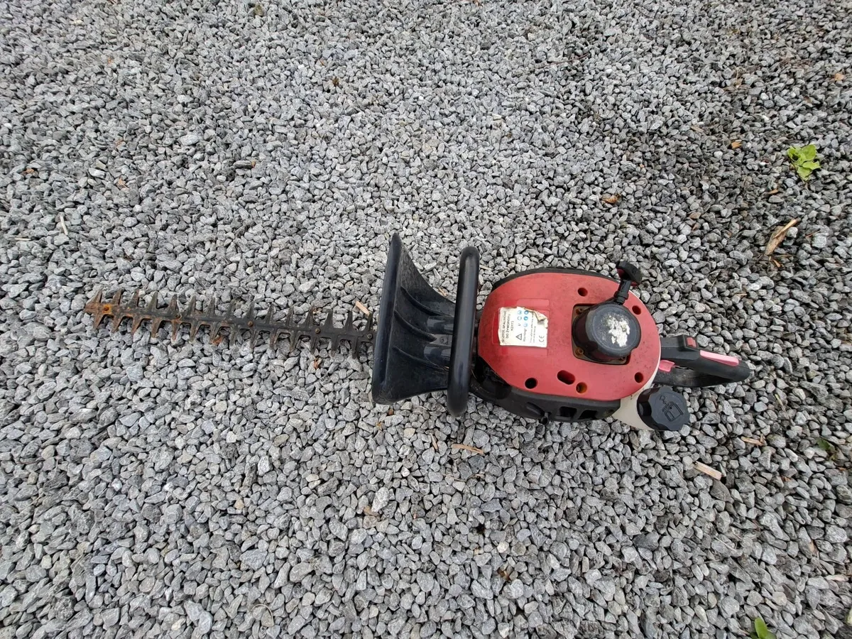 Petrol Hedge Strimmers - Image 3