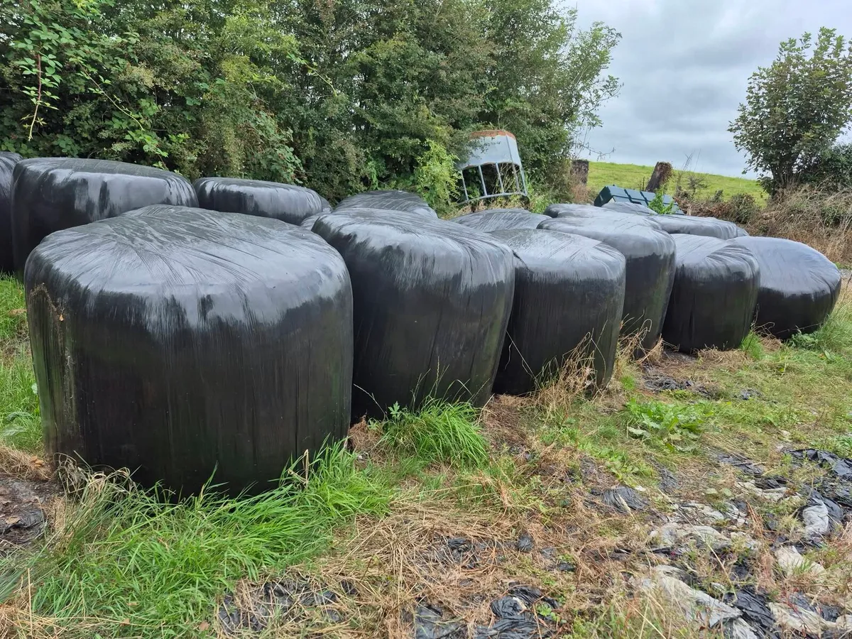 Round bales 2025 silage
