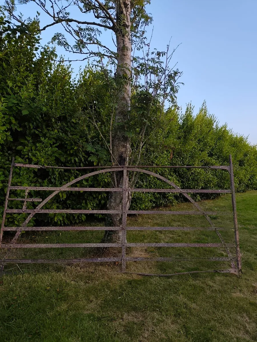 Old forge gate - Image 1
