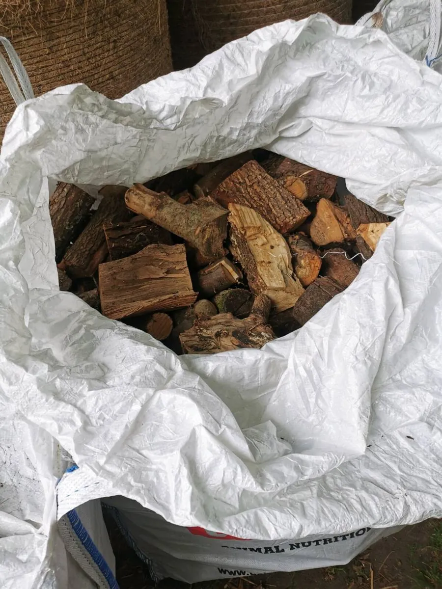 Firewood - Image 1