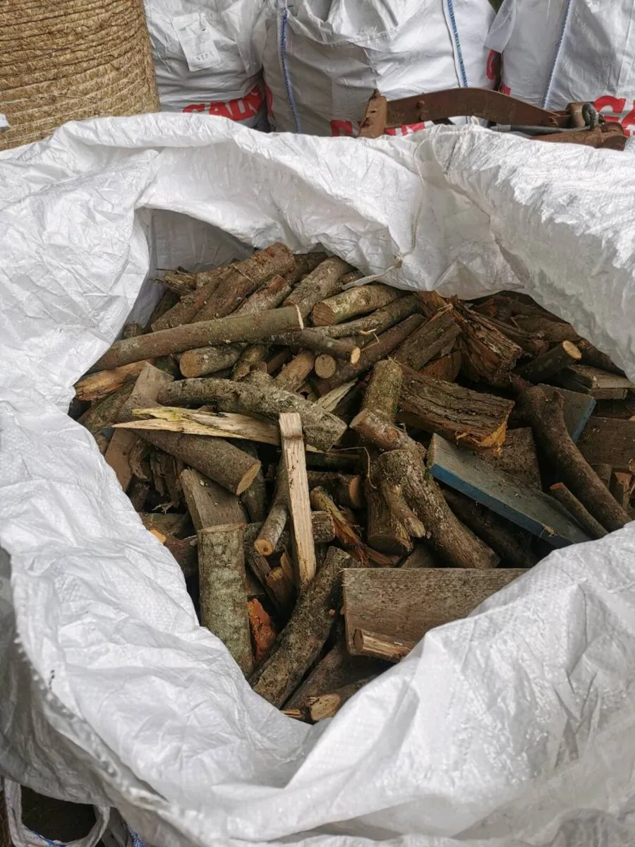 Firewood - Image 2