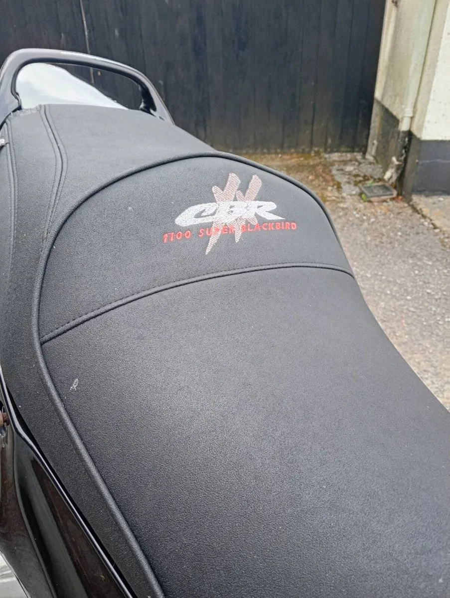 Honda CBR Blackbird 1100 - Image 2