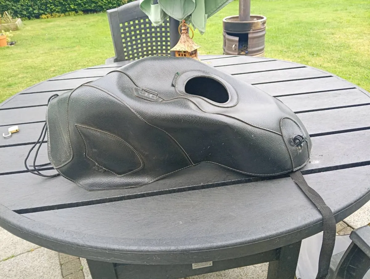 Honda CBR Blackbird 1100 - Image 4