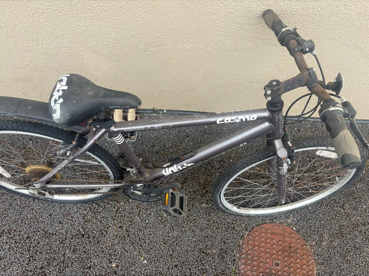 Bikes - Image 2