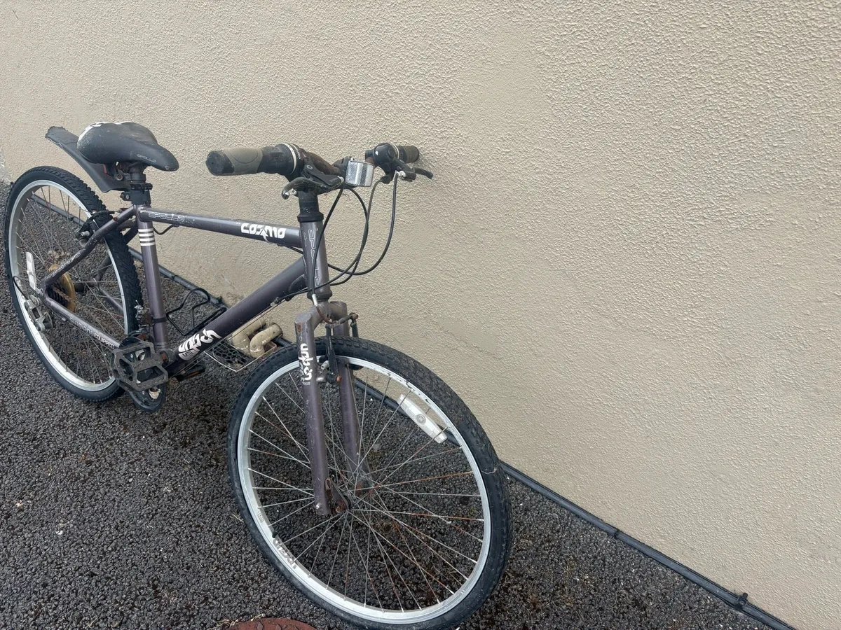 Bikes - Image 4