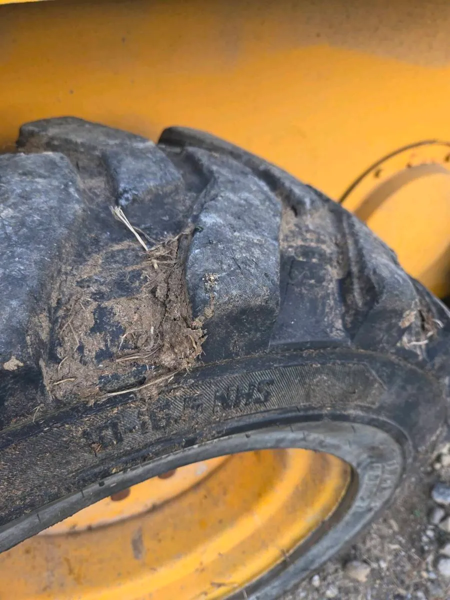 Jcb skid steer - Image 4
