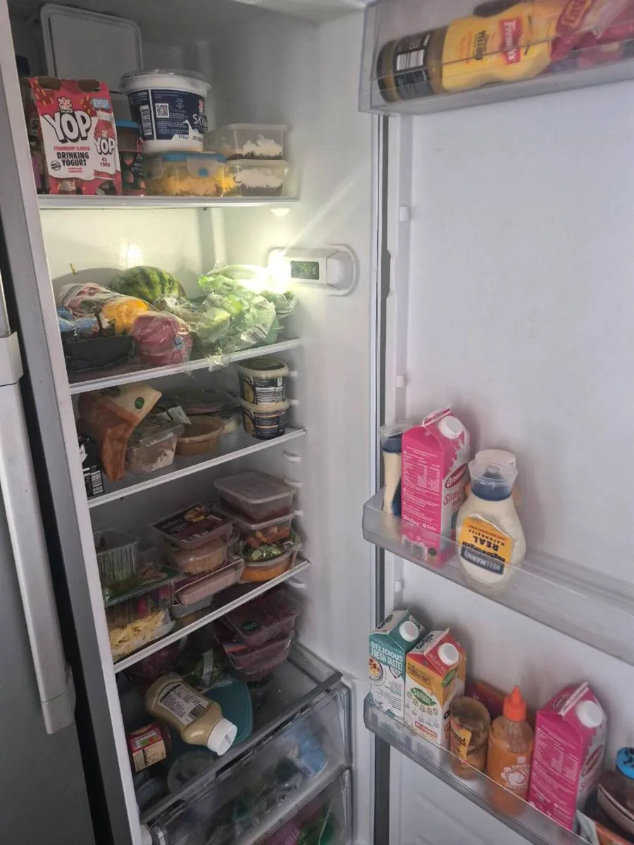 Hotpoint larder fridge - Image 2