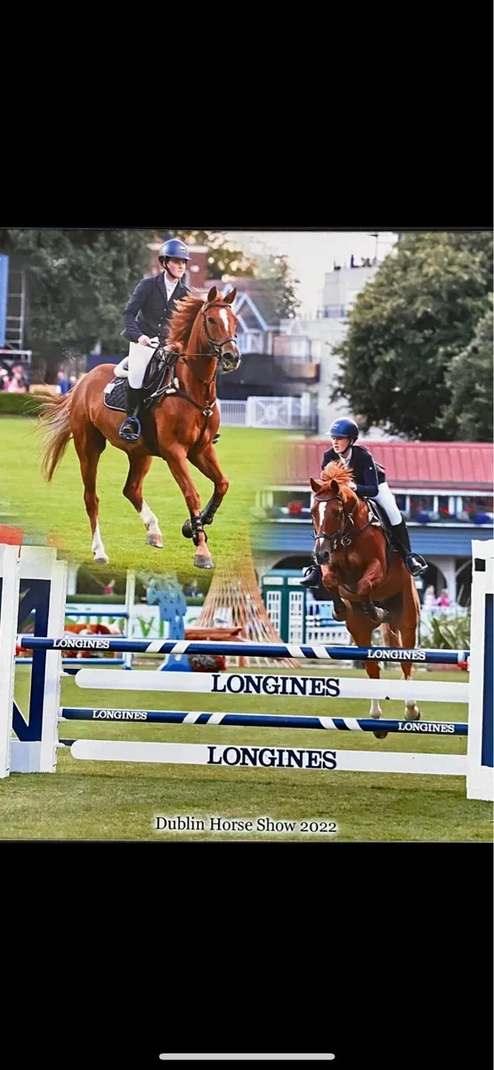 Livery - Image 1