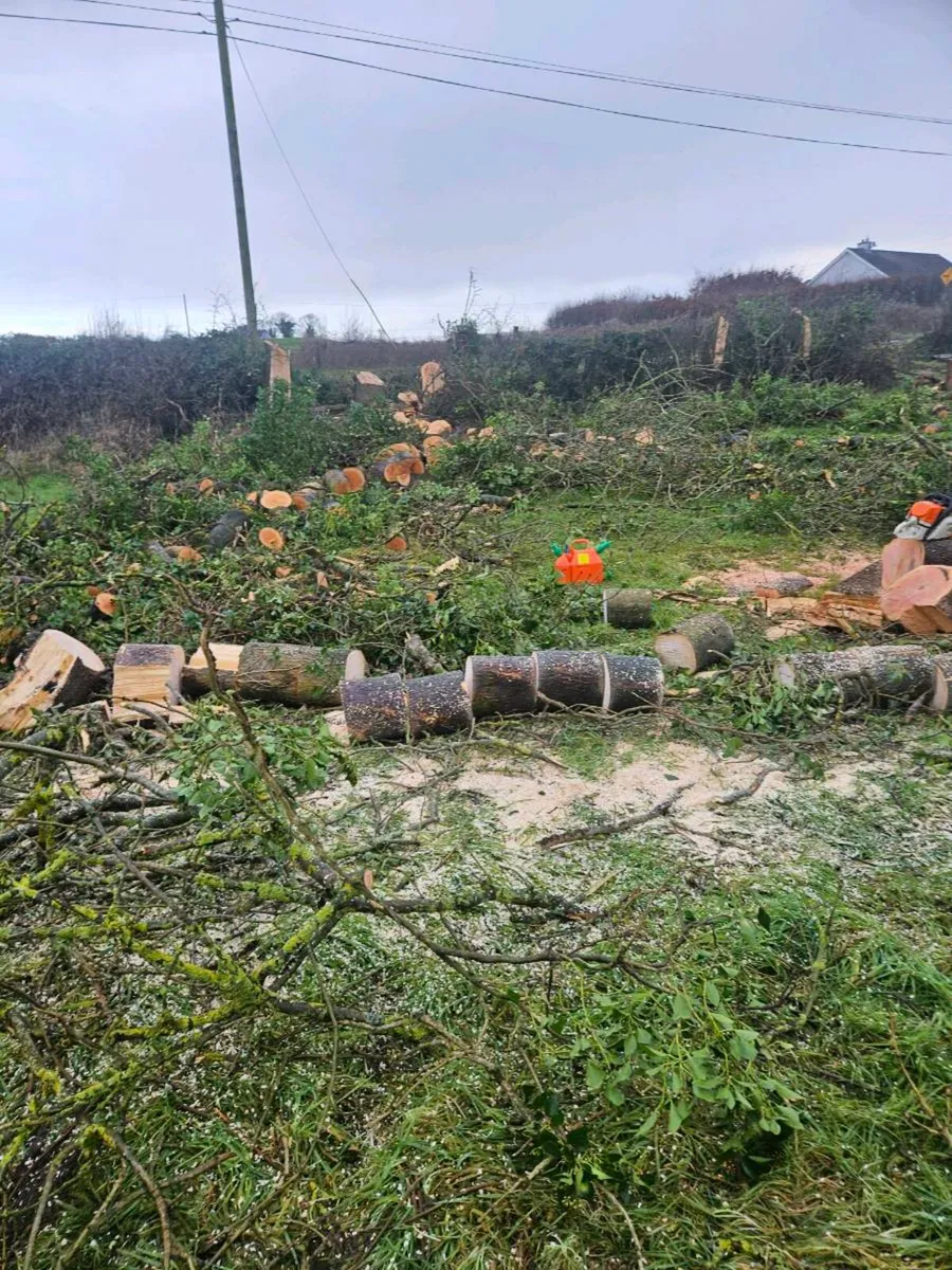 Timber splitting service - Image 1