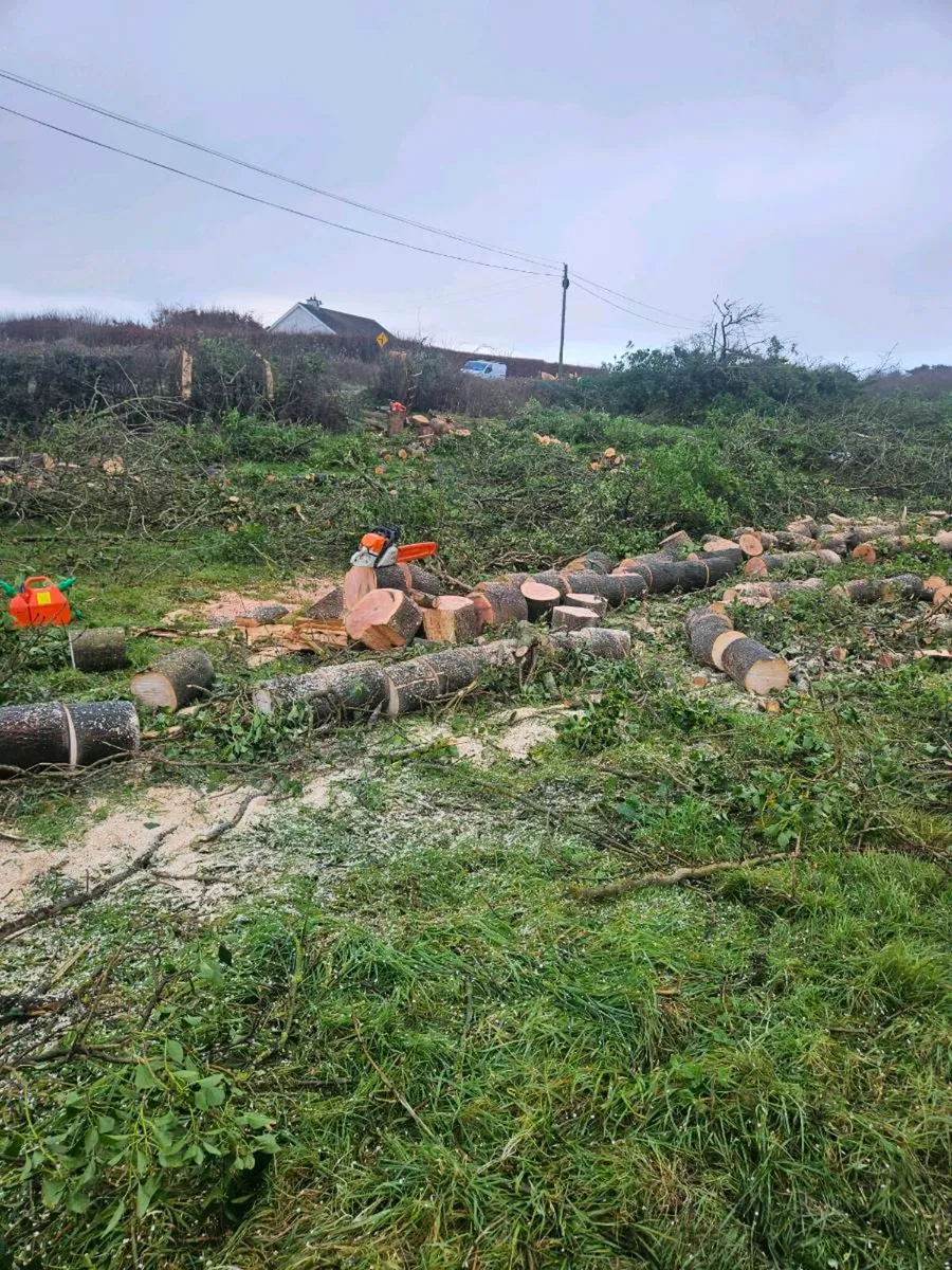 Timber splitting service - Image 3