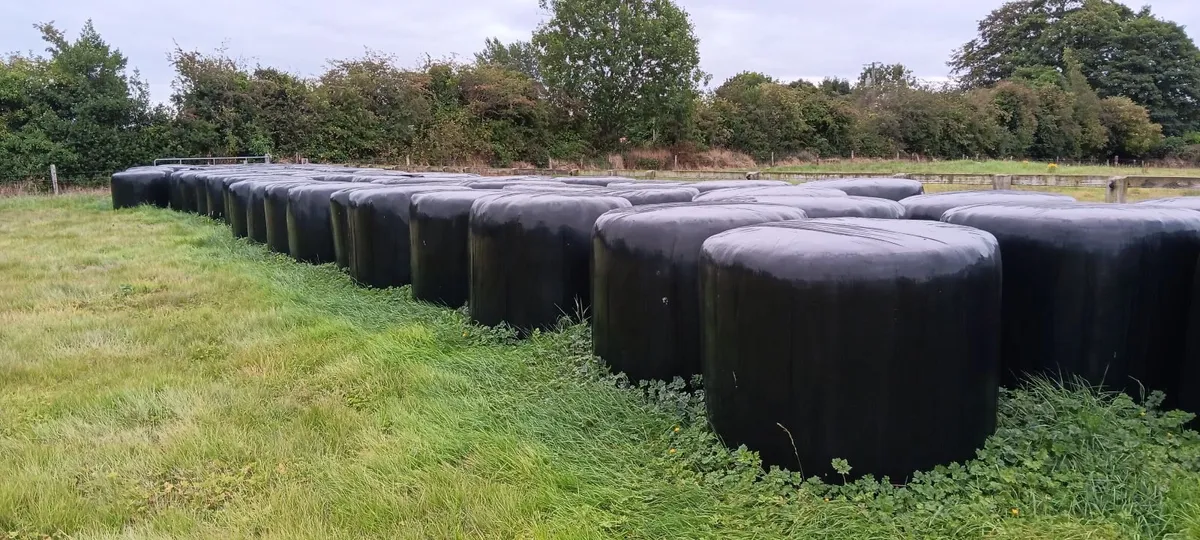 Haylage - Image 1