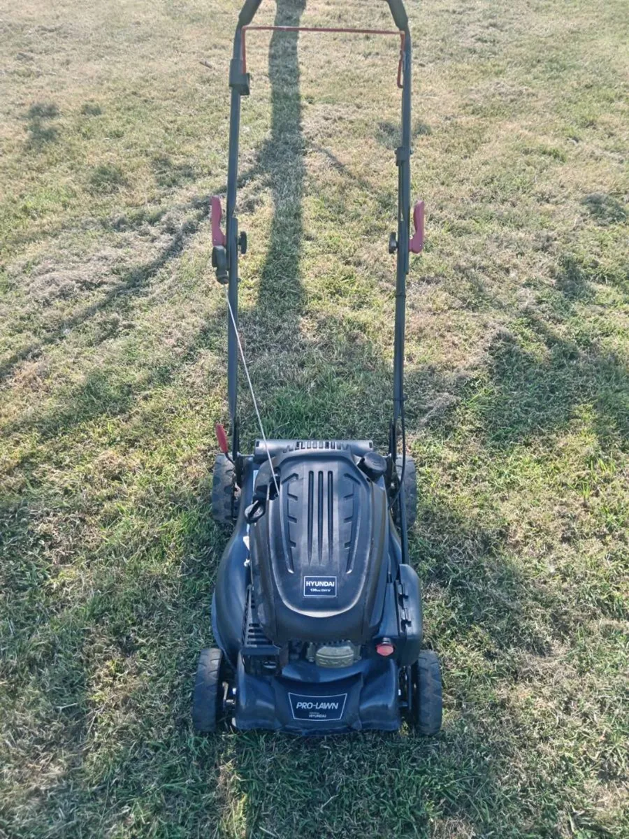 Lawnmowers - Image 1