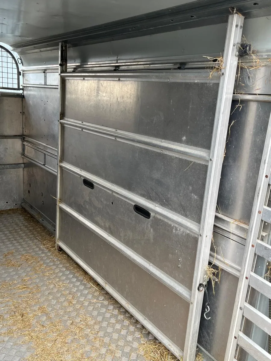 Igor Williams cow box - Image 1