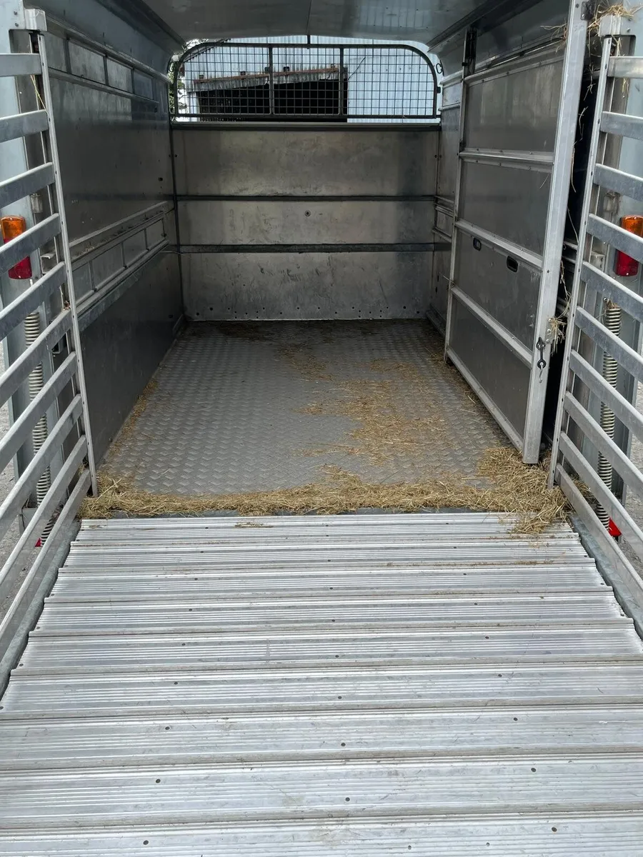 Igor Williams cow box - Image 2