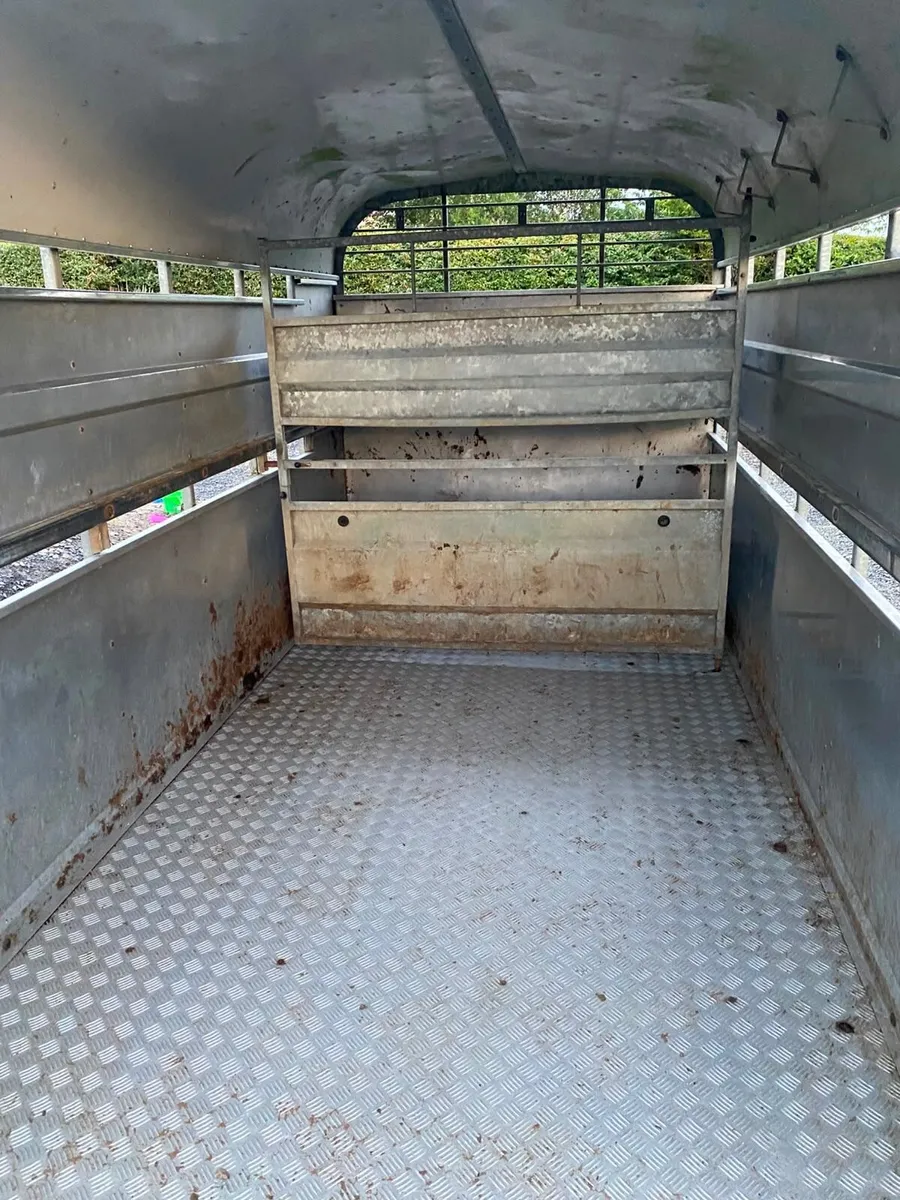 Nugent cattle trailer - Image 2