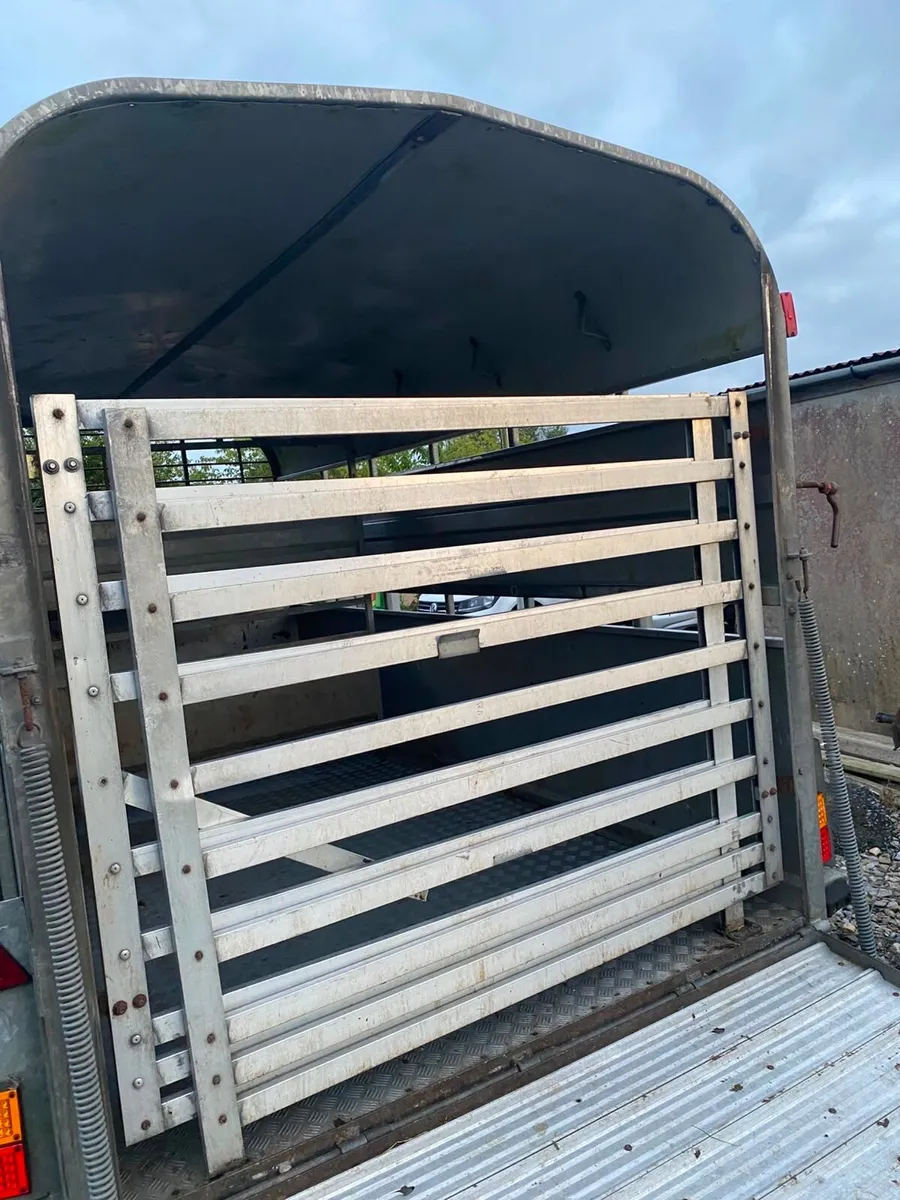 Nugent cattle trailer - Image 4