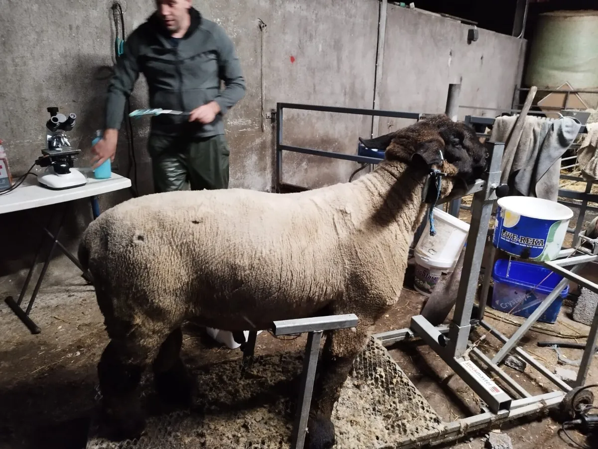 Ram testing - Image 3