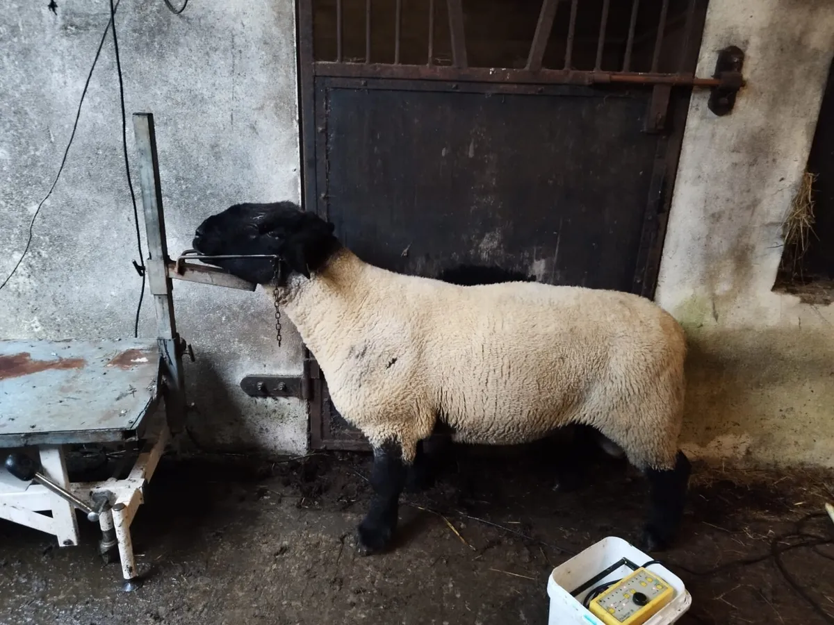 Ram testing - Image 4
