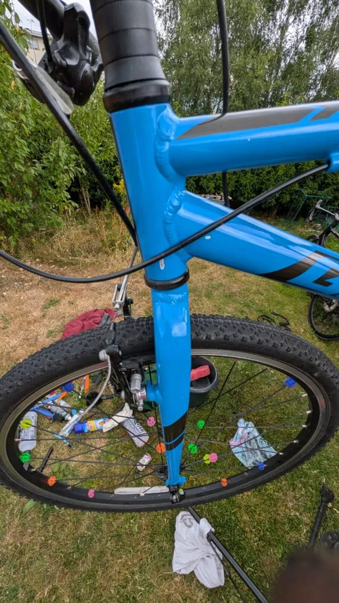 Giant bike arx - Image 3