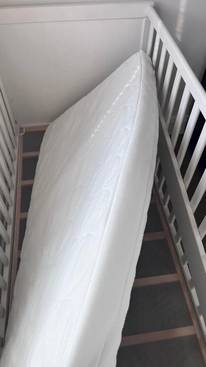 Cot - Image 2