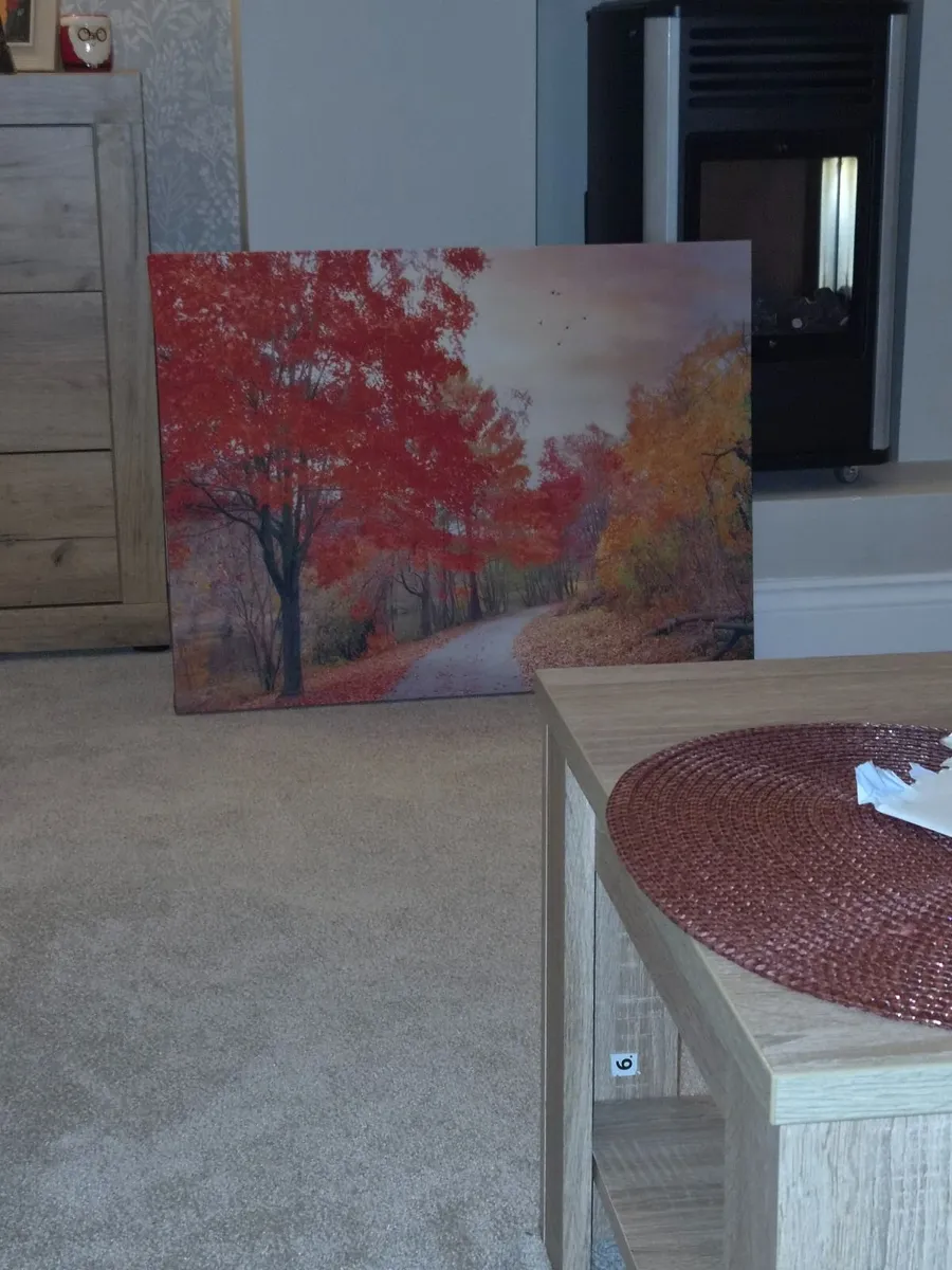 Pictures x 2 - Image 2