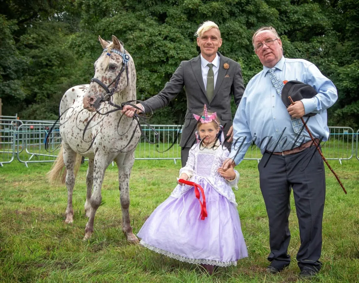 🌺 Appaloosa show pony for sale 🌺 - Image 1