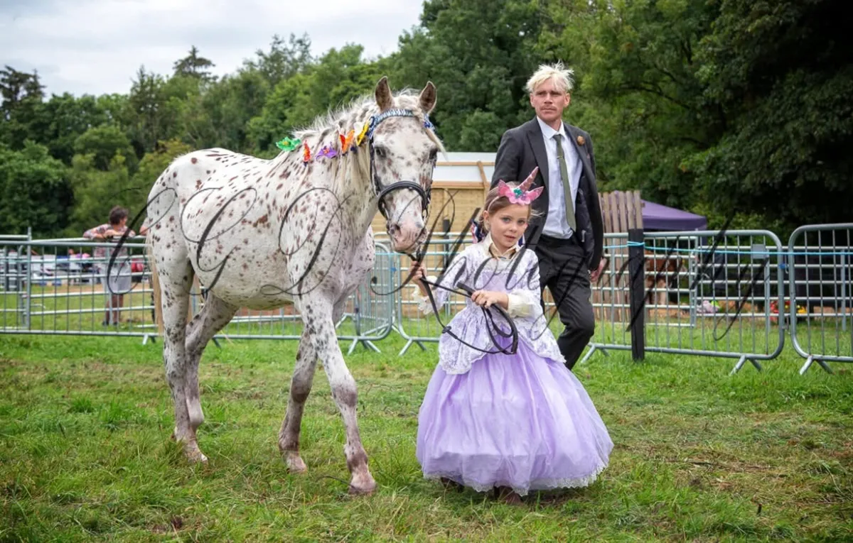 🌺 Appaloosa show pony for sale 🌺 - Image 2